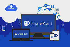 Mastering SharePoint and Microsoft 365 Development: Career Guide for Ethiopians in Europe and the USA