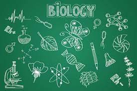 Biology Exit Exam Practice Exam